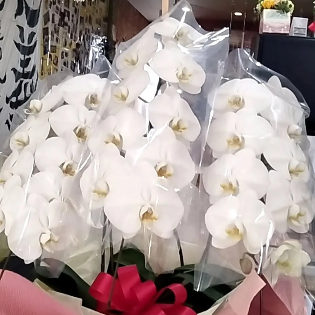 本日で当cafe居酒屋地球民族はOPEN1周年を迎えることが...