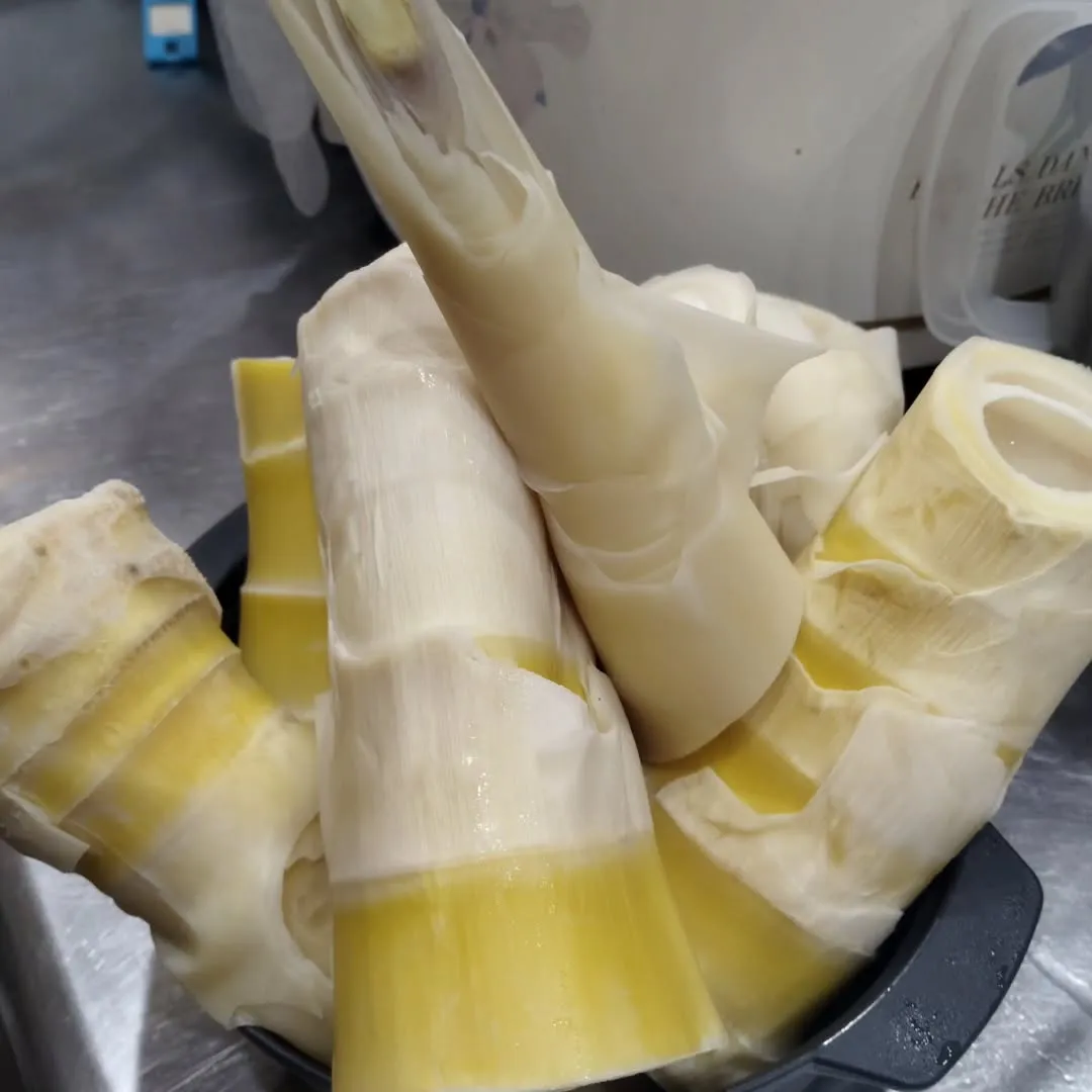 破竹、たくさん入荷しました！