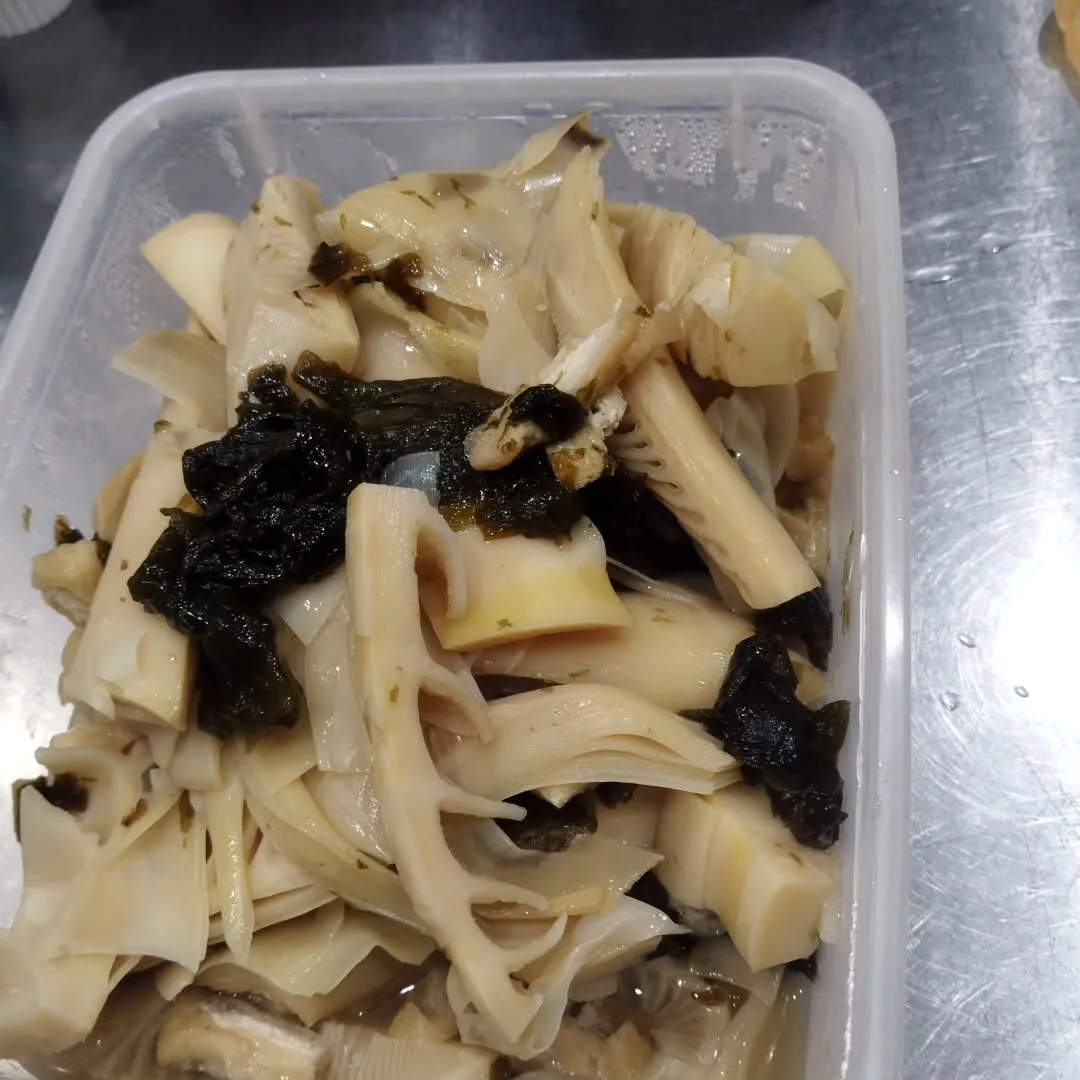 破竹、たくさん入荷しました！